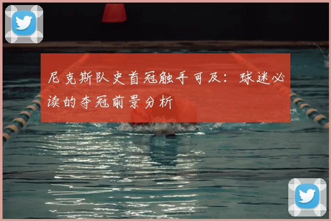 尼克斯队史首冠触手可及:球迷必读的夺冠前景分析