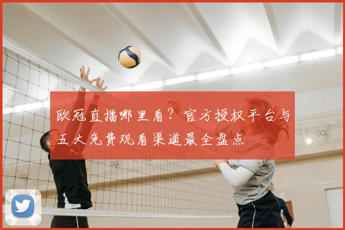 欧冠直播哪里看?官方授权平台与五大免费观看渠道最全盘点