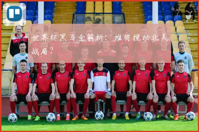 世界杯黑马全解析：谁将搅动北美战局？